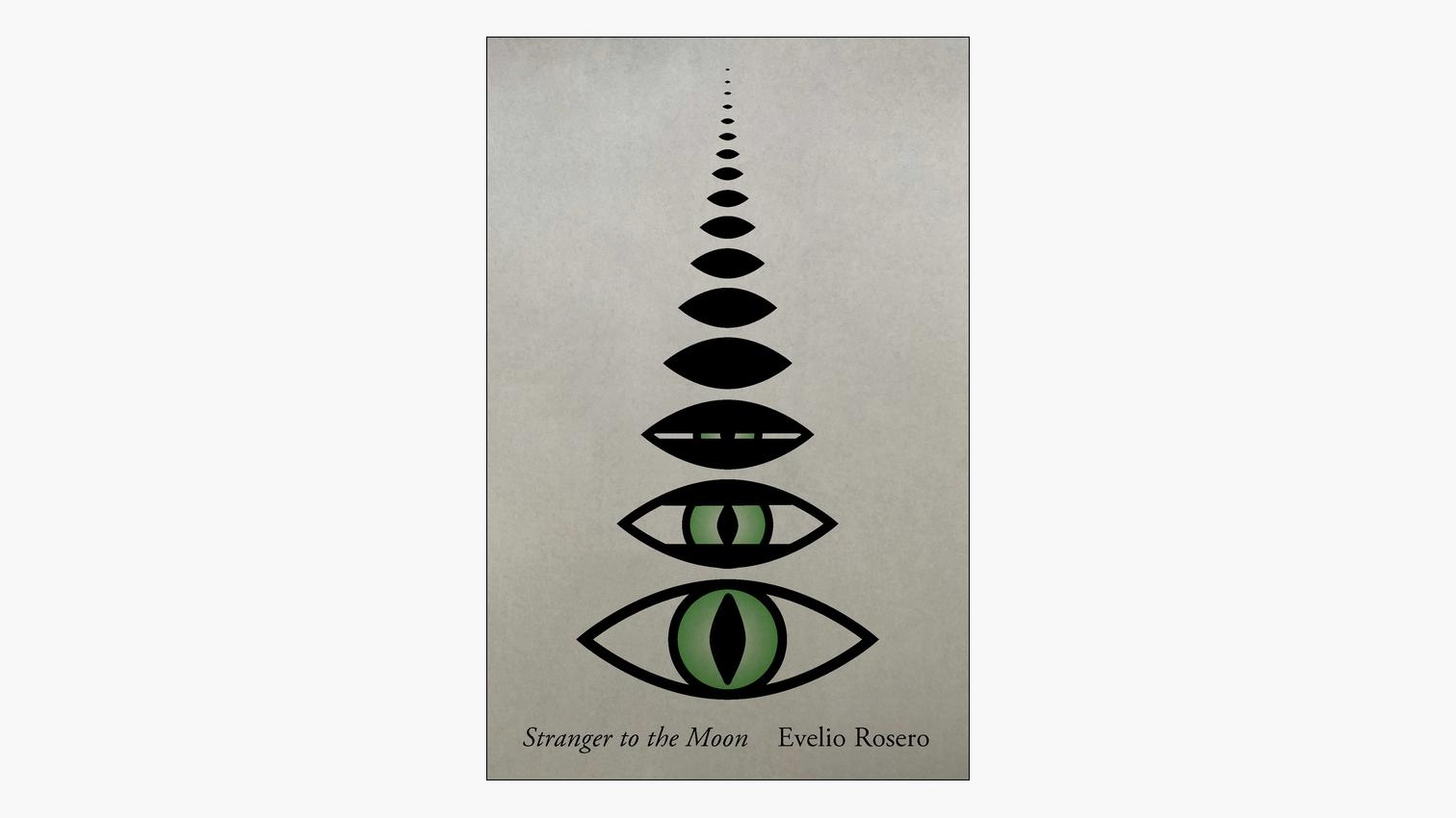 stranger to the moon by evelio rosero